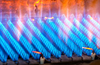 Swanborough gas fired boilers